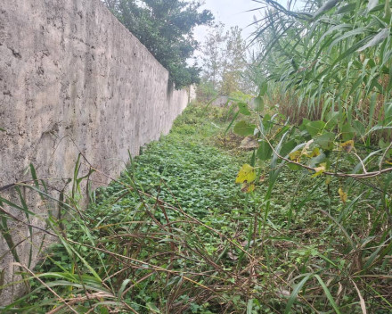 جاده سنگر کوچ اصفهان ویشکاننک فروش ملک تجاری صنعتی مسکونی در گیلان